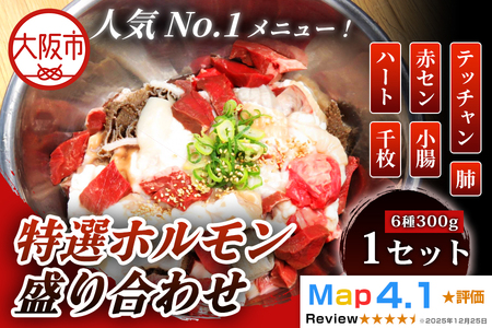 特選ホルモン盛り合わせ 1セット(6種類 300g）モツ_OS295-0004
