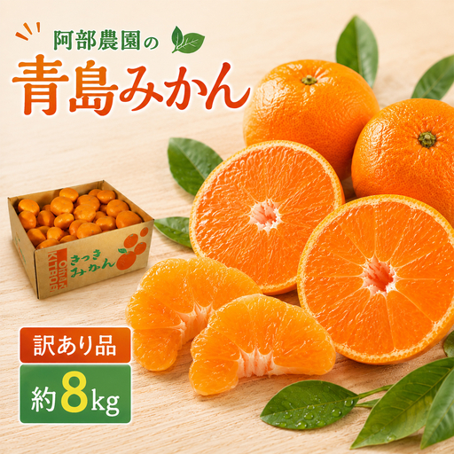【2027年先行予約】 青島みかん 約8kg 訳あり品 阿部農園 温州みかん 1月発送 ＜112-003＞