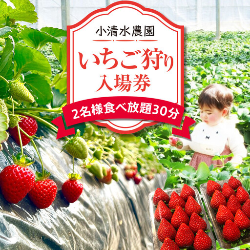 いちご狩り　入場券　2名様　食べ放題30分|  苺 イチゴ 体験 食べ放題 フルーツ 果物 神奈川県 小田原市