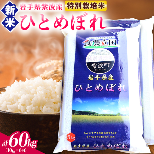 【 新米 】【6回定期便】お米 10kg (5kg×2) ( 総計60kg ) 白米 ひとめぼれ 特別栽培米 ★令和8年産★ 精米 AD084