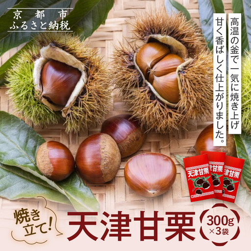 焼き立て! 天津甘栗300g×3袋｜京都 甘栗 人気
