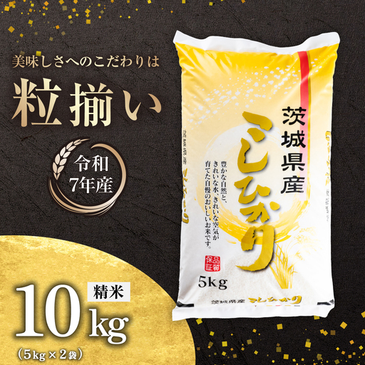 コシヒカリ 10kg 令和7年産 コシヒカリ 精米