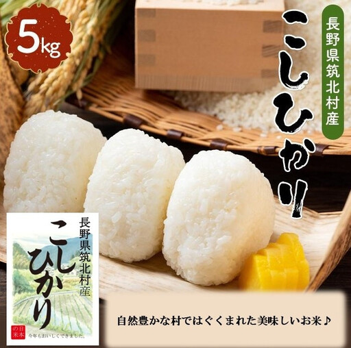 筑北村産こしひかり(5kg)| 筑北村 お米 こめ 精米 天日乾燥 自然乾燥 甘み 食感 食味 主食用 家庭用 食卓活用 人気 おすすめ ごはん食材 和食素材 日常使い 米穀 食材 お取り寄せ 通販 送料無料 ふるさと納税