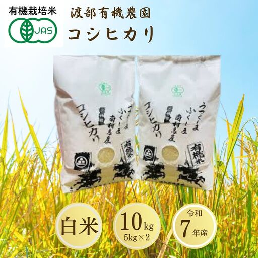 JAS有機米 コシヒカリ 白米 10kg | 令和7年産 渡部有機農園