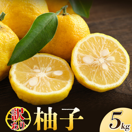 ゆず 訳あり 柚子 約5kg ゆず