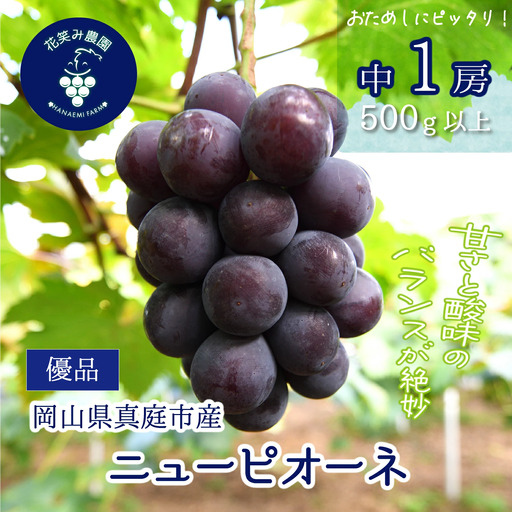 ニューピオーネ 1房[500g以上] 種無しピオーネ [hana079-01]