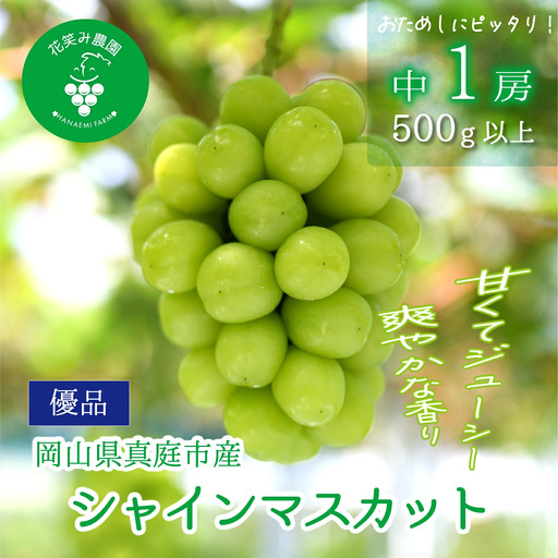 [2026年先行予約]花笑み農園の『シャインマスカット』500g以上(中1房)岡山 ぶどう シャインマスカット 真庭市 [hana081-01]