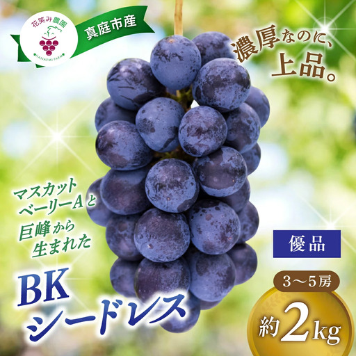 [2026年先行予約]花笑み農園の『BKシードレス』優品 2kg(3〜5房) 岡山 贈答用 ぶどう [hana082-01]