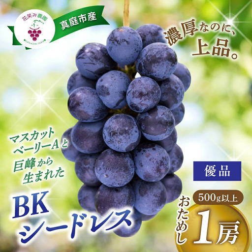 [2026年先行予約]花笑み農園の『BKシードレス』500g以上(中1房) 岡山 贈答用 ぶどう [hana083-01]