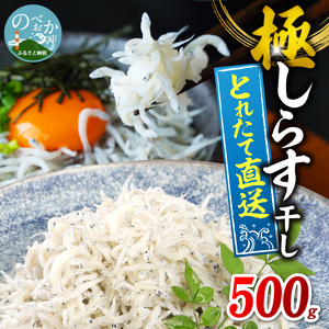 [とれたて直送]極しらす干し 500g