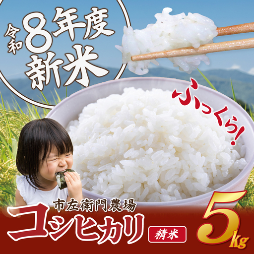 米 令和8年産 コシヒカリ5kg 精米 こしひかり