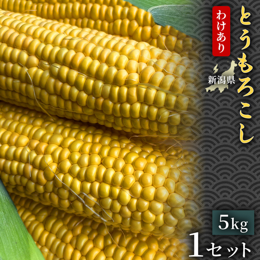 【令和8年産先行予約】【訳あり】 とうもろこし 5kg 1セット 2026年7月中旬より順次発送