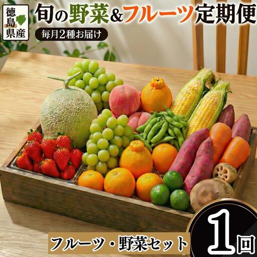 フルーツ 野菜 定期便 1回 定期