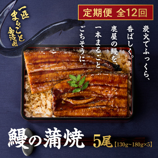 【 全12回 定期便 】 鰻 の 蒲焼 5尾（130g～180g×5） KN026-T09 うなぎ 惣菜 総菜 魚
