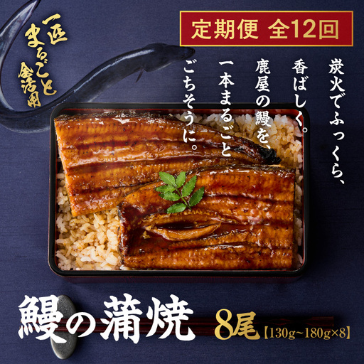 【 全12回 定期便 】 鰻 の 蒲焼 8尾（130g～180g×8） KN026-T10 うなぎ 惣菜 総菜 魚