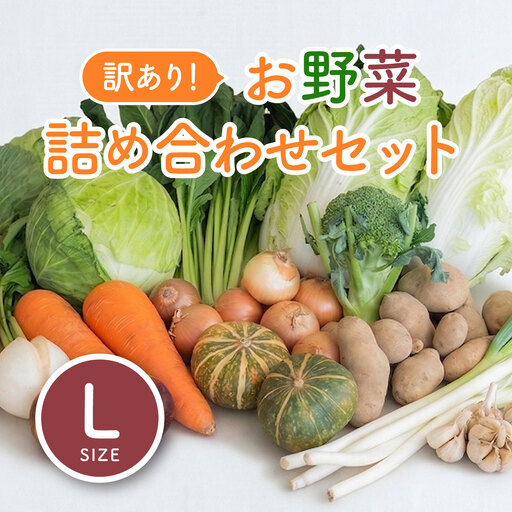 ＜ロスヘル＞多数のメディアで紹介されました！【訳あり】旬のもったいないお野菜詰め合わせセット　Lサイズ　野菜 規格外野菜 