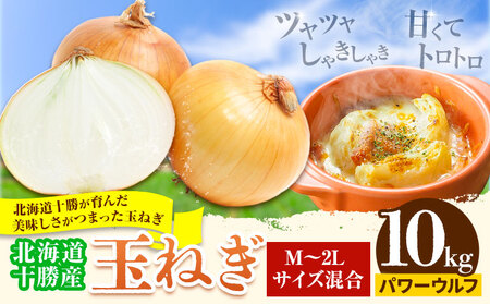 玉ねぎ 10kg パワーウルフ 山下農場[9月中旬-10月末頃出荷] 北海道 本別町 たまねぎ タマネギ 万能 北海道産