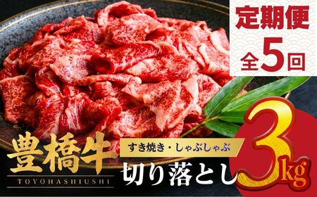 豊橋牛 定期便5回毎月 3kg 国産 牛肉