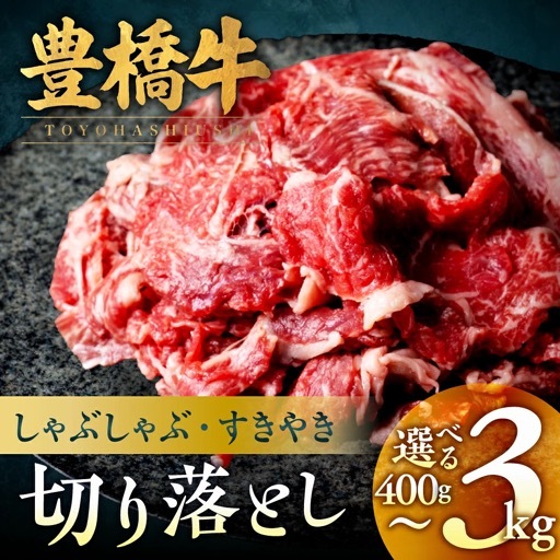 豊橋牛 定期便3回隔月 3kg 国産 牛肉