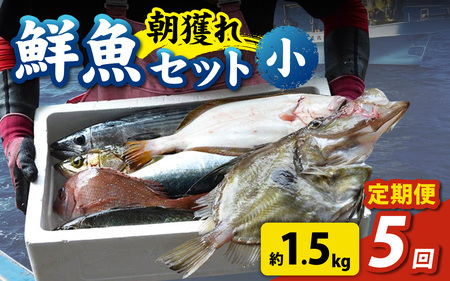 【5回お届け】【朝獲り】 鮮魚セット (小) 3種類以上 約1.5kg 魚 詰め合わせ 鮮魚ボックス 漁港直送 鮮魚