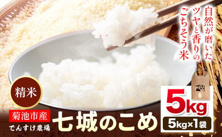 【先行予約】令和8年産 精米 七城のこめ 5kg《11月上旬-11月末頃出荷》熊本県 菊池市 米 白米 ヒノヒカリ でんすけ農場