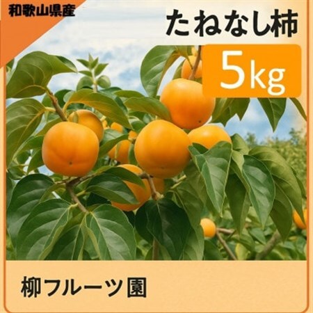 柿【先行受付】柳フルーツ園 たねなし柿 約5kg_果物・フルーツ 柿（カキ）  かき_【1430458】
