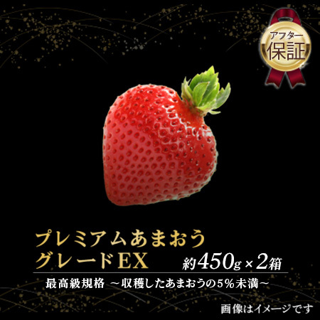 いちご [超プレミアム]博多あまおういちご EX (約450g×2P)