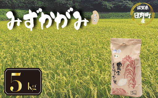 [先行予約]令和8年産 新米 みずかがみ 5kg 玄米 米 [KW022] 近江米