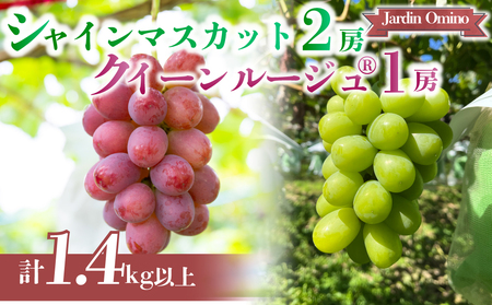 [先行受付2026年発送]シャインマスカット&クイーンルージュ(R) プレミアム 3房 1.4kg以上|Jardin Omino ※2026年9月上旬~10月中旬に発送予定