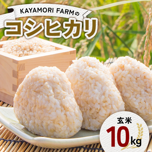 【R8年産米】KAYAMORI FARMのコシヒカリ 玄米 10kg F6U-471