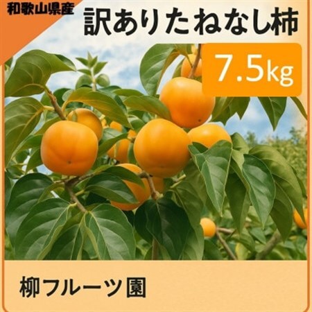柿【先行受付】柳フルーツ園(訳あり)たねなし柿 約7.5kg_柿　たねなし柿　橋本市産柿　渋柿_【1077001】
