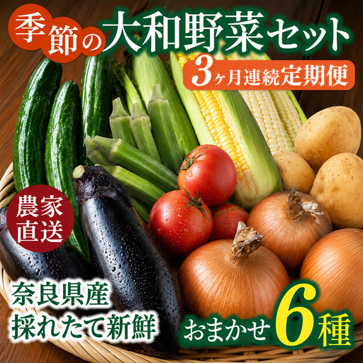 野菜 奈良県産 ※3ヶ月定期便※季節の大和野菜 おまかせ6種セット×3ヶ月 葛城市[smlk-tkb013]