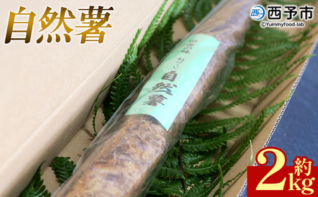 ＜自然薯 約2kg＞ 野菜 やさい 山芋 長芋 いも とろろ じねんじょ 国産 愛媛県産 とろろご飯 とろろ汁 料理 ノムランド 愛媛県 西予市【常温】『2026年1月中旬～3月末迄に順次出荷予定』NNM0009