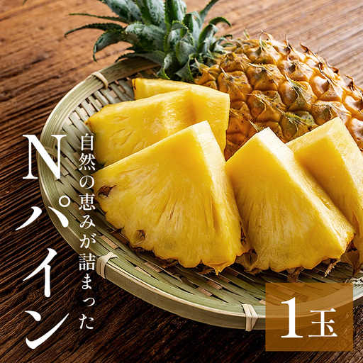 Nパイン1玉 自然の恵み詰まったパイナップル 172-1