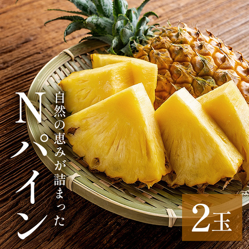 Nパイン2玉　自然の恵み詰まったパイナップル 172-2