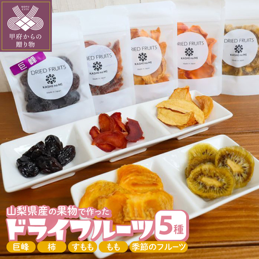 ドライフルーツ 5種セット