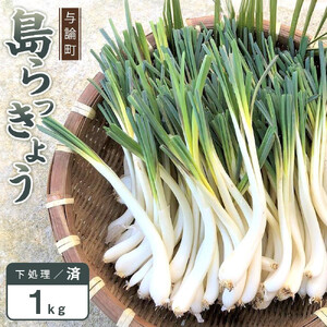 [令和8年3月頃発送]島らっきょう1kg(皮処理済)