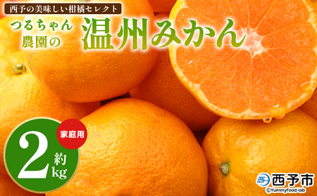 [予約受付][西予の美味しい柑橘セレクト(ご家庭用)/つるちゃん農園のみかん(約2kg)][11月頃から2027年1月中旬頃までに順次出荷予定] 果物 くだもの フルーツ 蜜柑 みかん ミカン 柑橘 ご家庭用 温州みかん 食べて応援 国産 愛媛県産 特産品 西予倶楽部 愛媛県 西予市[常温]OMC0016