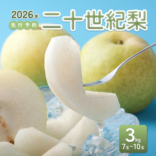 [2026年 先行予約]二十世紀梨 3kg|鳥取 東光園 梨 2026年収穫後 2026年8月下旬から順次発送[41051]