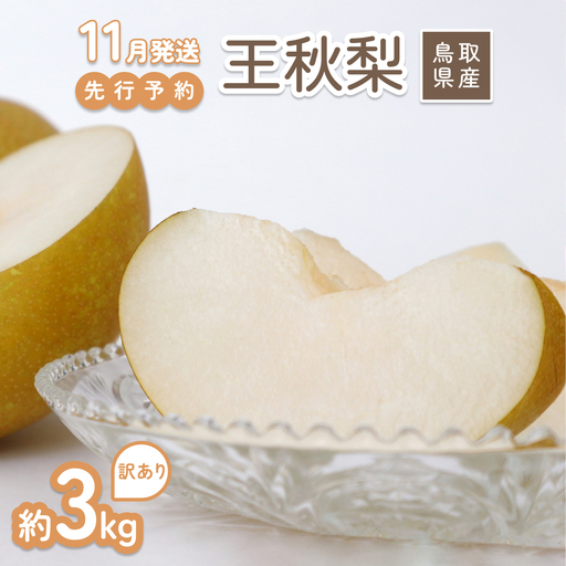 [2026年 先行予約]訳あり 王秋梨 3kg|鳥取 山根農園 梨 2026年収穫後[41065]