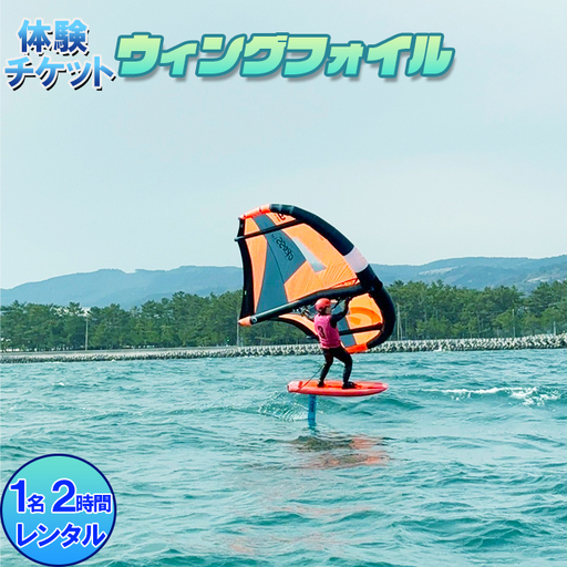 [体験チケット] ウイングフォイル 1名 レンタル 2時間[マリンショップBUZZ] マリンスポーツ アクティビティ 海遊び 水上レジャー 利用券 アウトドア 海水浴 九州 大分県 [163-008]