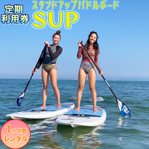 [会員チケット] SUP 1か月 レンタル 定期利用券 マンスリーパス [マリンショップBUZZ] マリンスポーツ アクティビティ 海遊び 水上レジャー 利用券 アウトドア 海水浴 九州 大分県 [163-010]