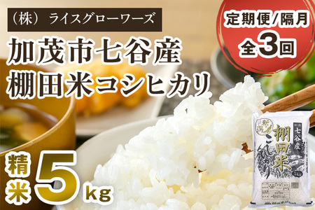 【令和8年産新米先行予約】【定期便3回隔月お届け】 七谷産 棚田米コシヒカリ 精米5kg《10月上旬～順次出荷》 白米 （株）ライスグローワーズ