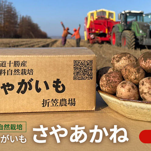 北海道 十勝 幕別 無肥料 メディア出演の農家！自然栽培 希少じゃがいも「さやあかね」15kg［折笠農場］有機JAS【 じゃがいも いも 野菜 大容量 さやあかね 無農薬 国産 オーガニック 品評会 】