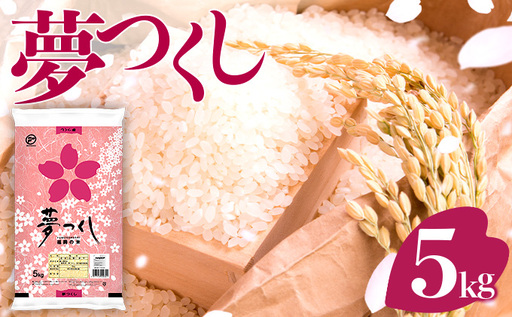 【定期便：３ケ月】令和７年産 福岡県産米 夢つくし 5kg 精米 CY008sub3
