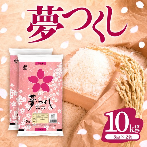【定期便：12ケ月】令和７年産 福岡県産米 夢つくし 10kg 精米 CY009sub12