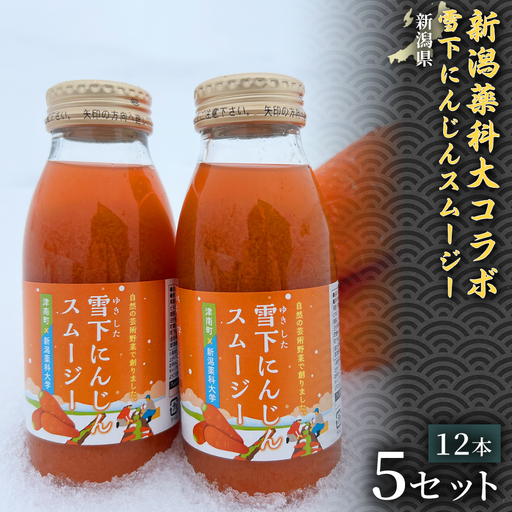新潟薬科大コラボ 雪下にんじんスムージー 200ml(12本1箱) 5セット| 津南町 にんじん