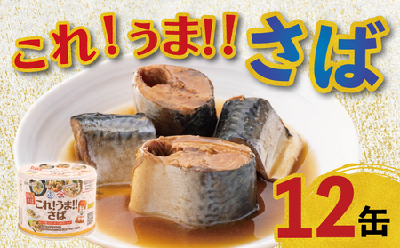 [ 缶詰 ] さば缶詰 12缶 | 缶詰 これ!!うま!!つゆ使用 さば 味付缶詰