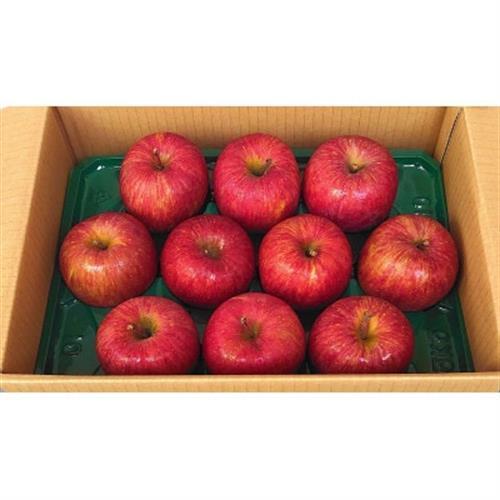 青森県産りんご 3kg(1箱※7～12個入り)【1672875】