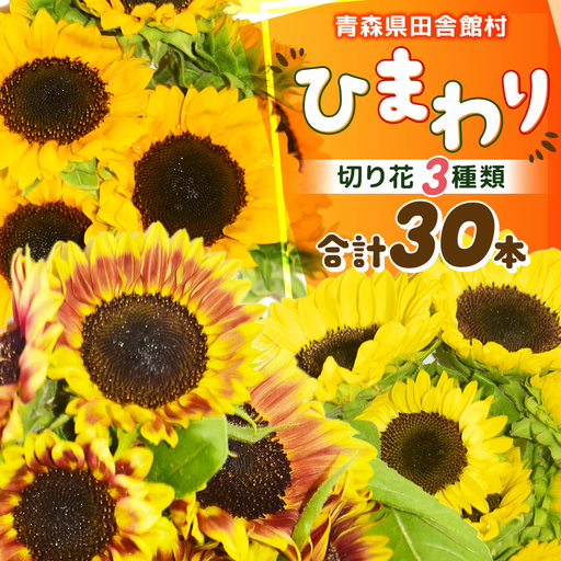 【2026年発送】ひまわり(切り花3種類)合計30本【配送不可地域：離島】【1677537】